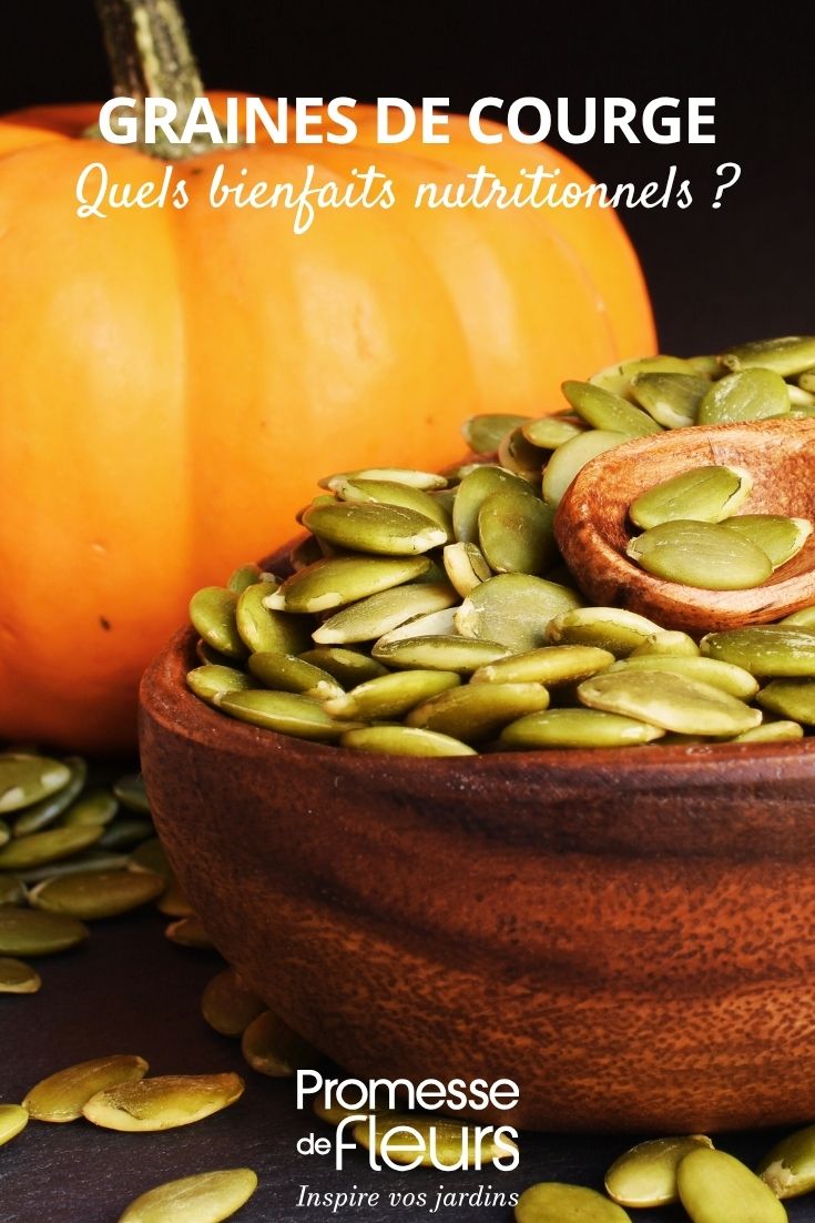 pumpkin seeds