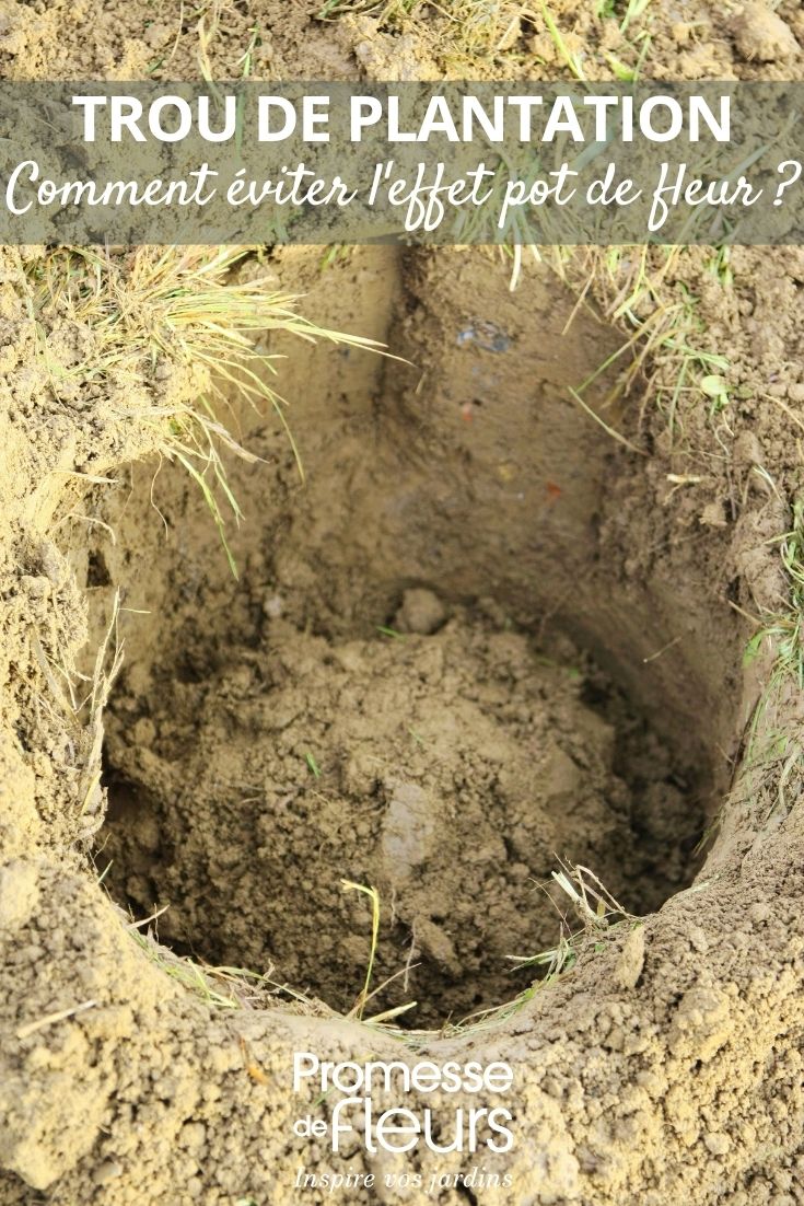 Photo of a planting hole in the garden