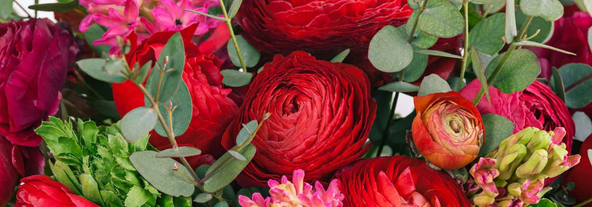 Which ranunculus to choose for creating beautiful bouquets at home?