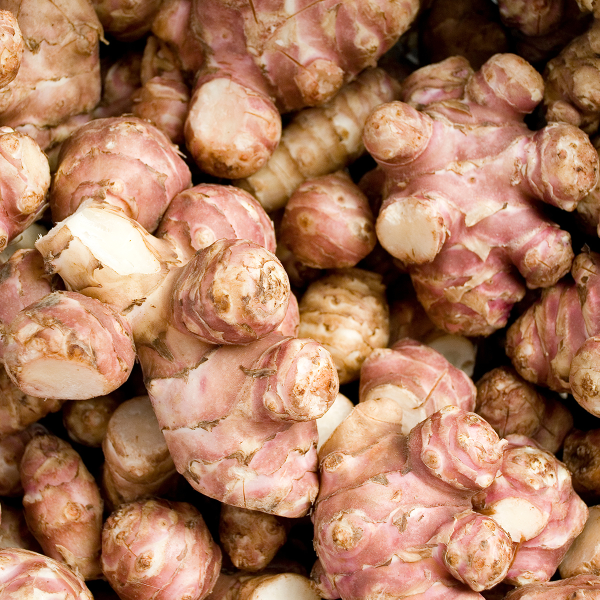 Jerusalem Artichokes