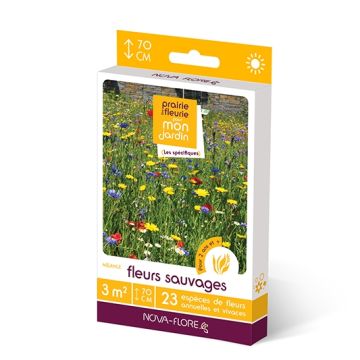 Wildflower Seed Mix