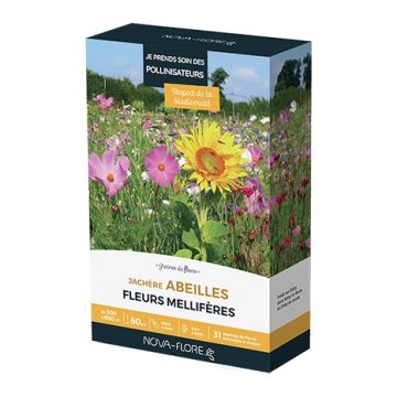 Bee-Friendly Fallow Flowers