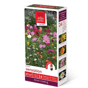 Elves Sensation Seed Mix