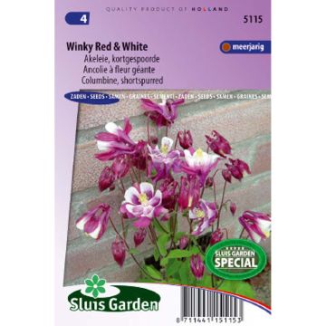 Dwarf Aquilegia Winky Red and White Seeds - Columbine