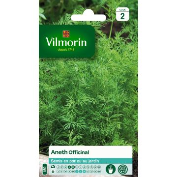 Dill - Vilmorin seeds