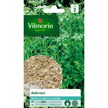 Anise - Vilmorin Seeds