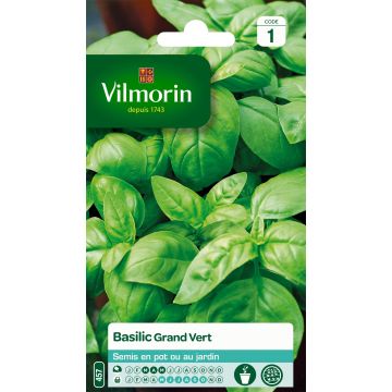 Sweet Basil - Vilmorin Large Leaf Italian Basil