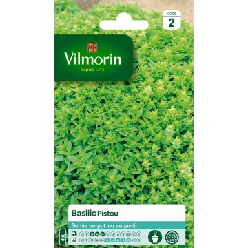 Pistou Basil - Vilmorin Seeds