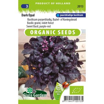 Basilic pourpre Dark Opal Bio - Ocimum basilicum