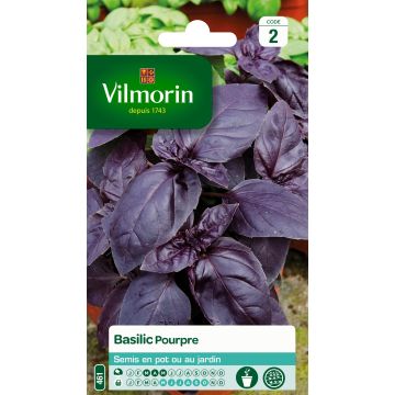 Purple Basil - Vilmorin Seeds