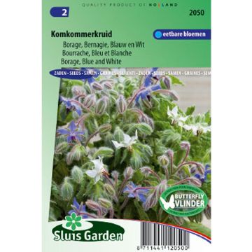 Borago officinalis - Blue Borage