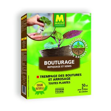 Masso Garden Cutting, Transplanting, and Seedling - Propagation Solution