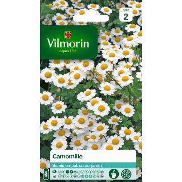 German Chamomile - Vilmorin Seeds