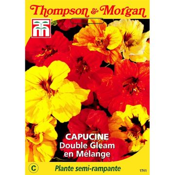 Tropaeolum Double Gleam - Dwarf Nasturtium Seeds in Mix