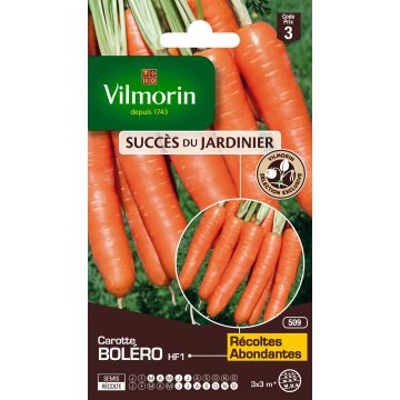 Carrot Bolero F1 - Vilmorin Seeds