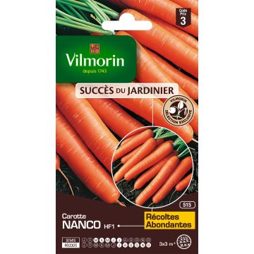 Carrot Nanco F1 - Vilmorin Seeds