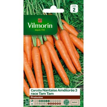Carrot Nantes 3 Tam Tam - Vilmorin Seeds