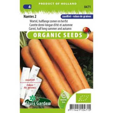 Carrot Nantes 2 Topfix - Pelleted Seeds