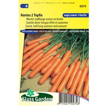 Carrot Nantes 2 Topfix