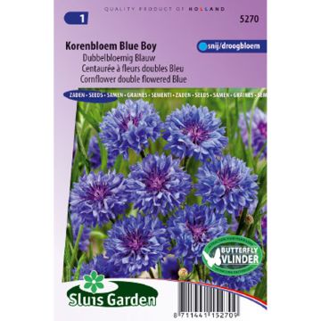 Cornflower Blue Boy Seeds - Centaurea cyanus