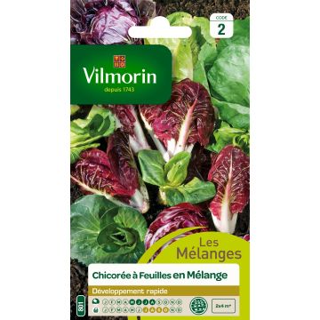 Leaf Chicory Seed Mix - Vilmorin seeds