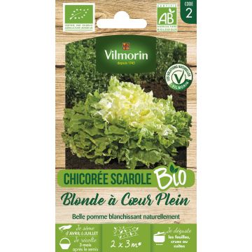 Escarole Blond Full Heart - Vilmorin Seeds