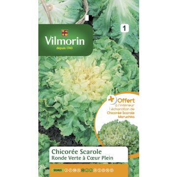 Escarole Ronde Verte à Coeur Plein + Maruschka sample - Vilmorin Seeds