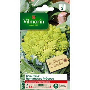Romanesco Broccoli Early - Vilmorin Seeds
