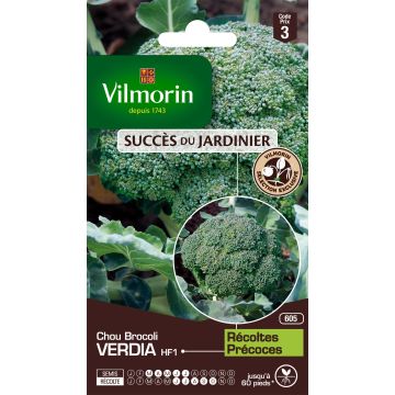 Broccoli Verdia F1 - Vilmorin Seeds