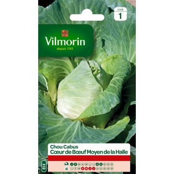 Cabbage Cœur de Bœuf Moyen de la Halle - Vilmorin Seeds