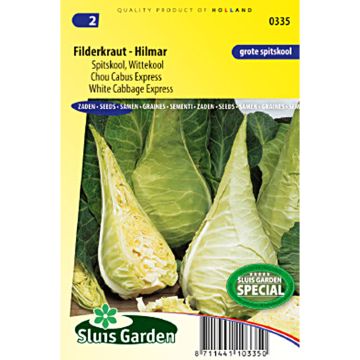 Cabbage Filderkraut - Hilmar
