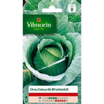 Cabbage Brunswick - Vilmorin Seeds