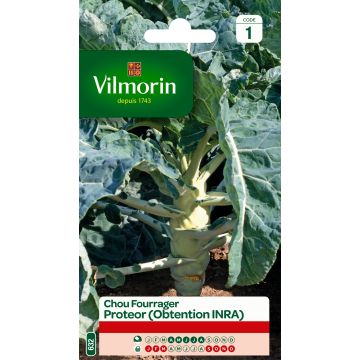 Fodder cabbage Proteor - Vilmorin Seeds