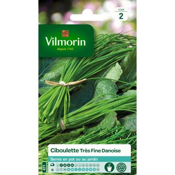 Chives Very Fine Danish - Vilmorin Seeds