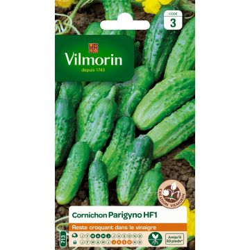 Gherkin Parigyno HF1 - Vilmorin Seeds