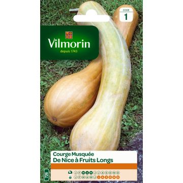 Squash Longue de Nice - Vilmorin Seeds