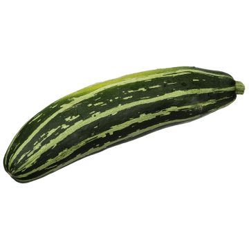 Courgette Cocozelle