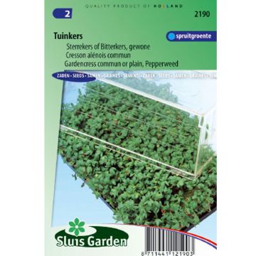 Garden Cress - Lepidium sativum