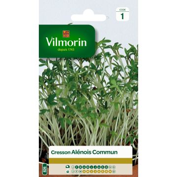 Garden Cress - Vilmorin Seeds