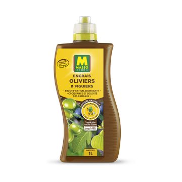 Liquid Fertiliser for Olive and Fig Trees by Masso Garden
