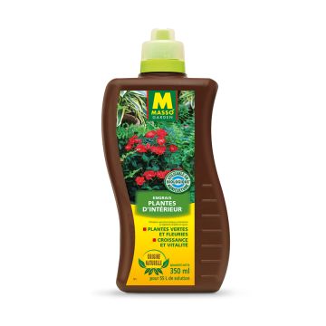 Indoor Plant Liquid Fertiliser - Masso Garden