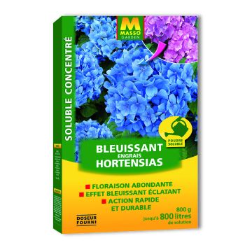 Blueing Hydrangea Soluble Fertilizer with Aluminum Sulphate - Masso