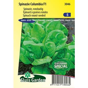 Spinach Columbia F1