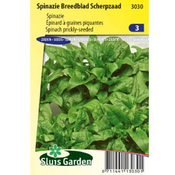 Spinach Prickly-Seeded
