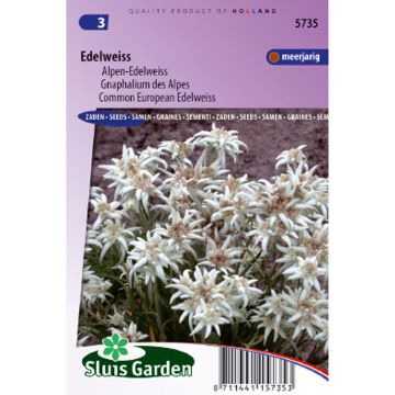 Edelweiss Seeds - Leontopodium alpinum