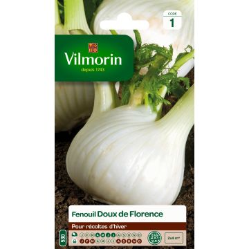 Foeniculum dulce de Florence  - Vilmorin Seeds