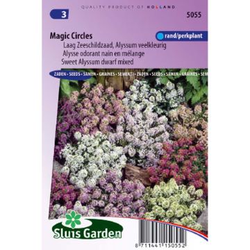 Sweet Alyssum Magic Circles Mix