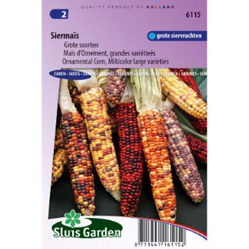 Zea mays japonica large varieties - seeds