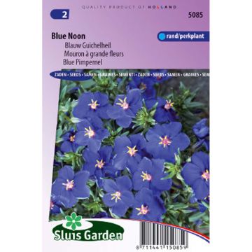Anagallis monelli Blue Noon - Blue Pimpernel seeds