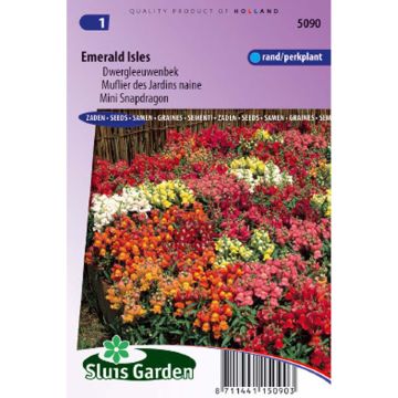 Dwarf Snapdragon Emerald Isles Mix Seeds - Antirrhinum majus pumilum